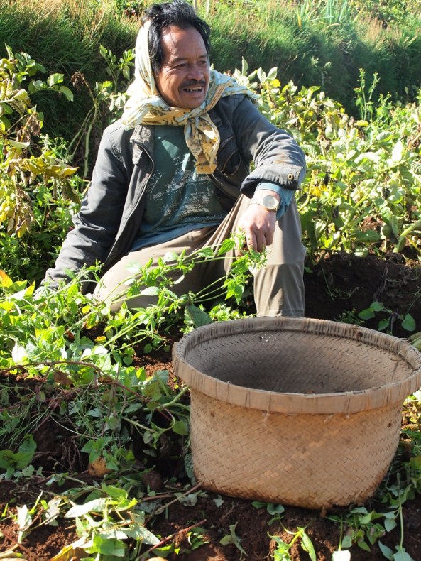 Mustofa dan Rokok Lintingwe