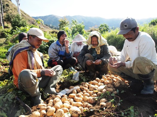 Mustofa dan Rokok Lintingwe