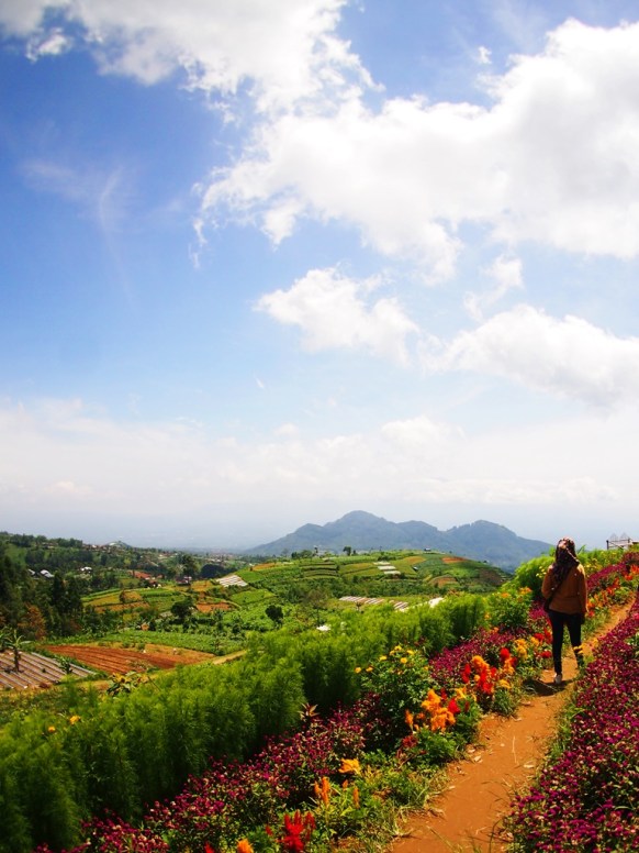 Bentang panorama alam