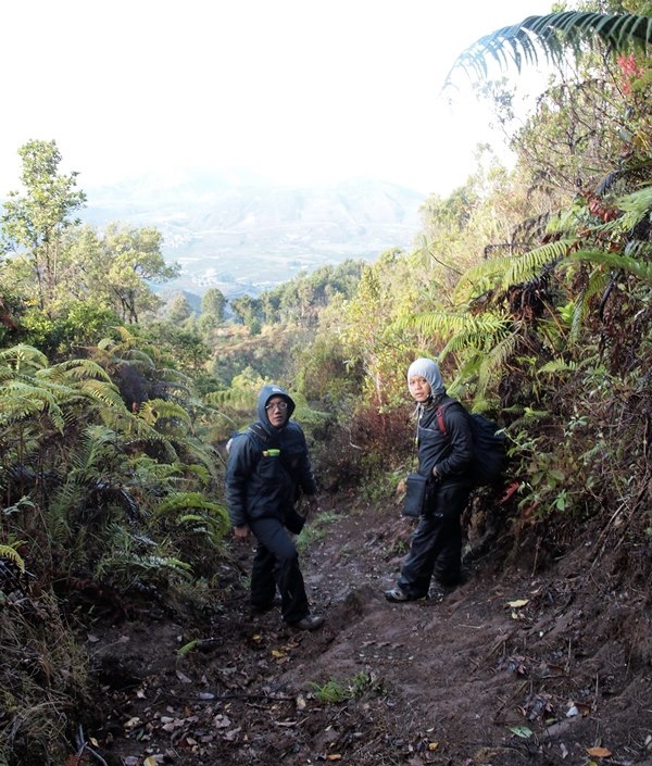 Gunung Prau; Dieng; Wonosobo