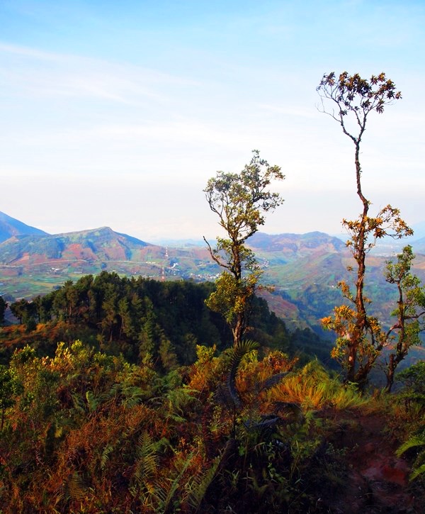 Gunung Prau; Dieng; Wonosobo